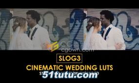15个slog3 电影婚礼调色和标准颜色 lut免费下载