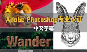 【中文字幕】adobe photoshop专业认证人员考试培训视频教程