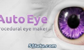 auto eye眼睛纹理自动生成blender插件v3版