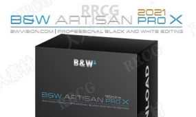 bw artisan pro x黑白明度控制扩展面板ps插件v2021版