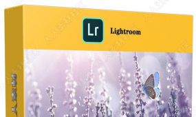 lightroom与ps结合使用高效工作流程视频教程