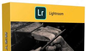 lightroom与ps黑白风格摄影后期处理技术视频教程